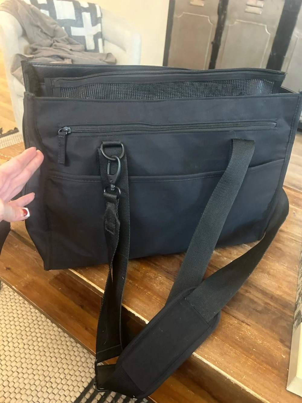 Beis regulation pet carry on bag
